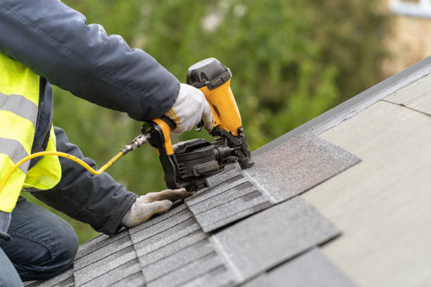 Best Skylight Installation and Repair  in Lynchburg, MS